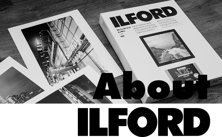 ILFORD PHOTO ILFORD 白黒印画紙 MGRC Portfolio Glossy 11x14 50枚